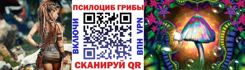 блэк спрут ТОР  Рубцовск  Псилоцибиновые грибы мицелий 