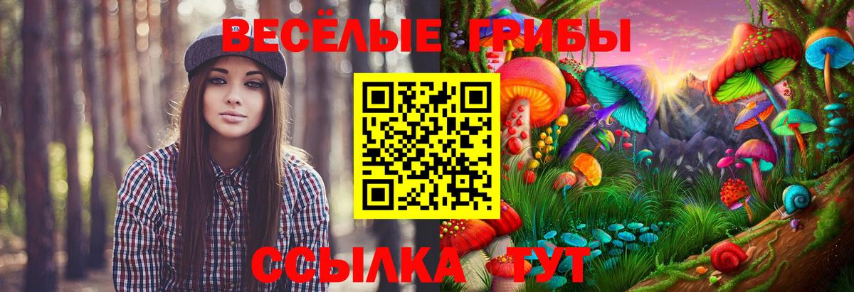 Рубцовск  Галлюциногенные грибы MAGIC MUSHROOMS  Вход с VPN  Псилоцибиновые грибы Psilocybine cubensis 